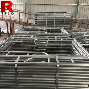 Galvanized Steel Frame Construction System